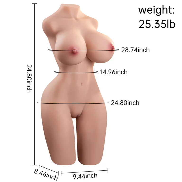 Sheila – 11,58 kg großer weiblicher Brusttorso